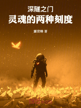 深隧之门：灵魂的两种刻度在线阅读