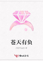 蒼天有負在線閱讀