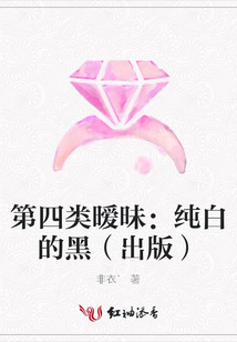 第四类暧昧:纯白的黑(出版)