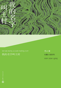 我的名字叫王村
