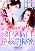好孕臨門：總裁的秘密在線閱讀