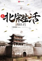 在北宋生活的日子在線閱讀