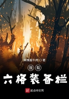 我有六格裝備欄在線閱讀
