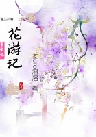 重生之花游記在線閱讀