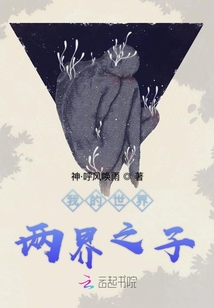我的世界两界之子