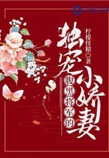 腹黑將軍的獨寵小嬌妻
