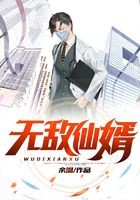 无敌仙婿在线阅读