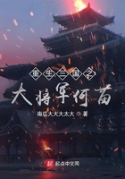 重生三国之大将军何苗