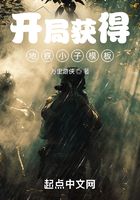 擺爛系統在線閱讀
