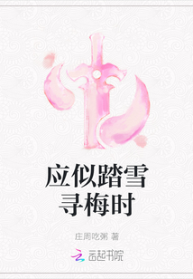 應似踏雪尋梅時