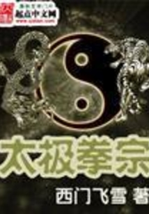 太极拳宗在线阅读