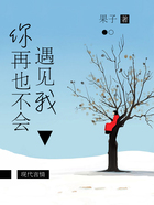 你再也不會遇見我在線閱讀