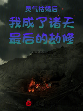 灵气枯竭后我成了诸天最后的劫修在线阅读