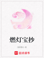燃灯宝抄在线阅读