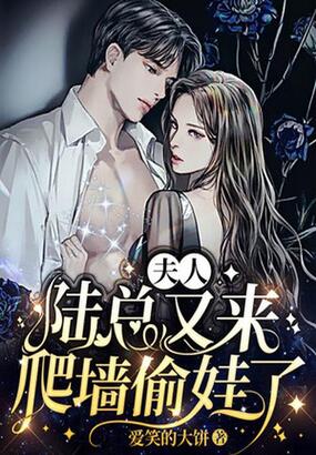 夫人,陆总又来爬墙偷娃了在线阅读