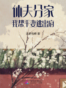 休夫分家，我連平妻也帶走