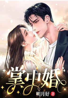 掌中婚在线阅读