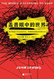 蓋普眼中的世界