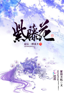 最后一棵盛开的紫藤花