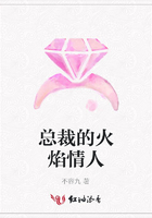 總裁的火焰情人在線(xiàn)閱讀