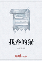 我養(yǎng)的貓?jiān)诰€閱讀