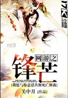 網游之鋒芒在線閱讀