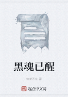 黑魂已醒在線閱讀