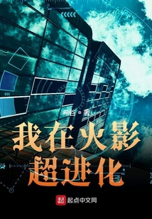 我在木葉超進化