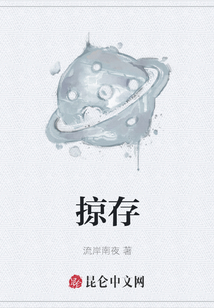 掠存