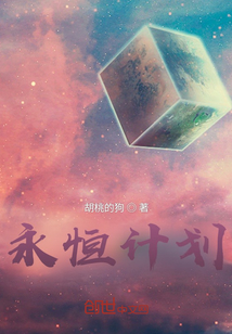 永恒計劃