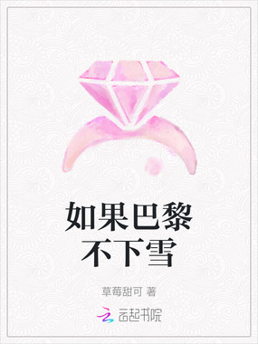 如果巴黎不下雪在线阅读