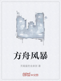 方舟风暴