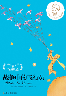 戰(zhàn)爭中的飛行員