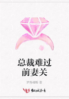 總裁難過前妻關(guān)在線閱讀