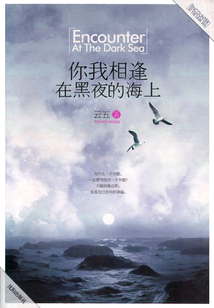 你我相逢在黑夜的海上