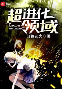 超进化领域