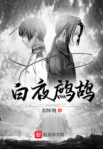 白夜鷓鴣