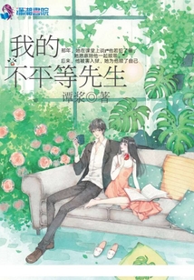 我的不平等先生