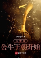 從重建公牛王朝開始在線閱讀