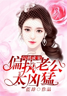 閃婚成寵:偏執老公太兇猛