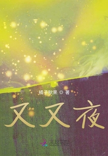 又又夜