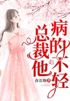 总裁他病的不轻