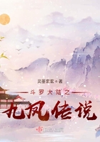 斗罗大陆之九凤传说
