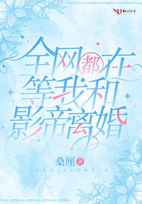 全网都在等我和影帝离婚在线阅读