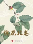 槐花北巷在线阅读