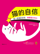 猫的自信