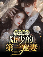 替嫁新娘:陆少的第一宠妻在线阅读