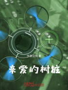 亲爱的树桩在线阅读