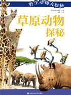 草原动物探秘(野生动物大探秘)在线阅读
