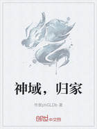 神域,归家在线阅读